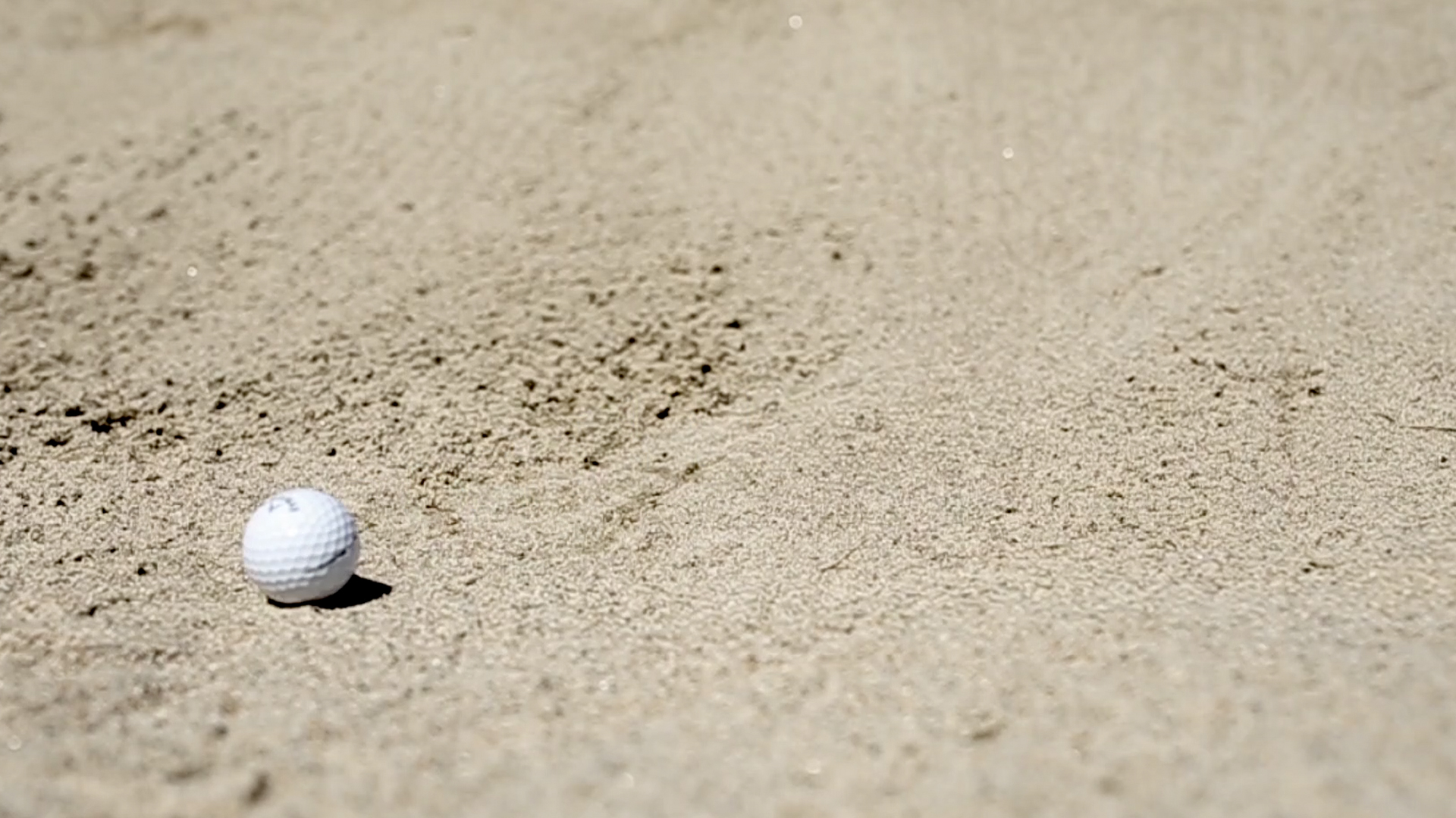 Holliston Sand | TPC Boston