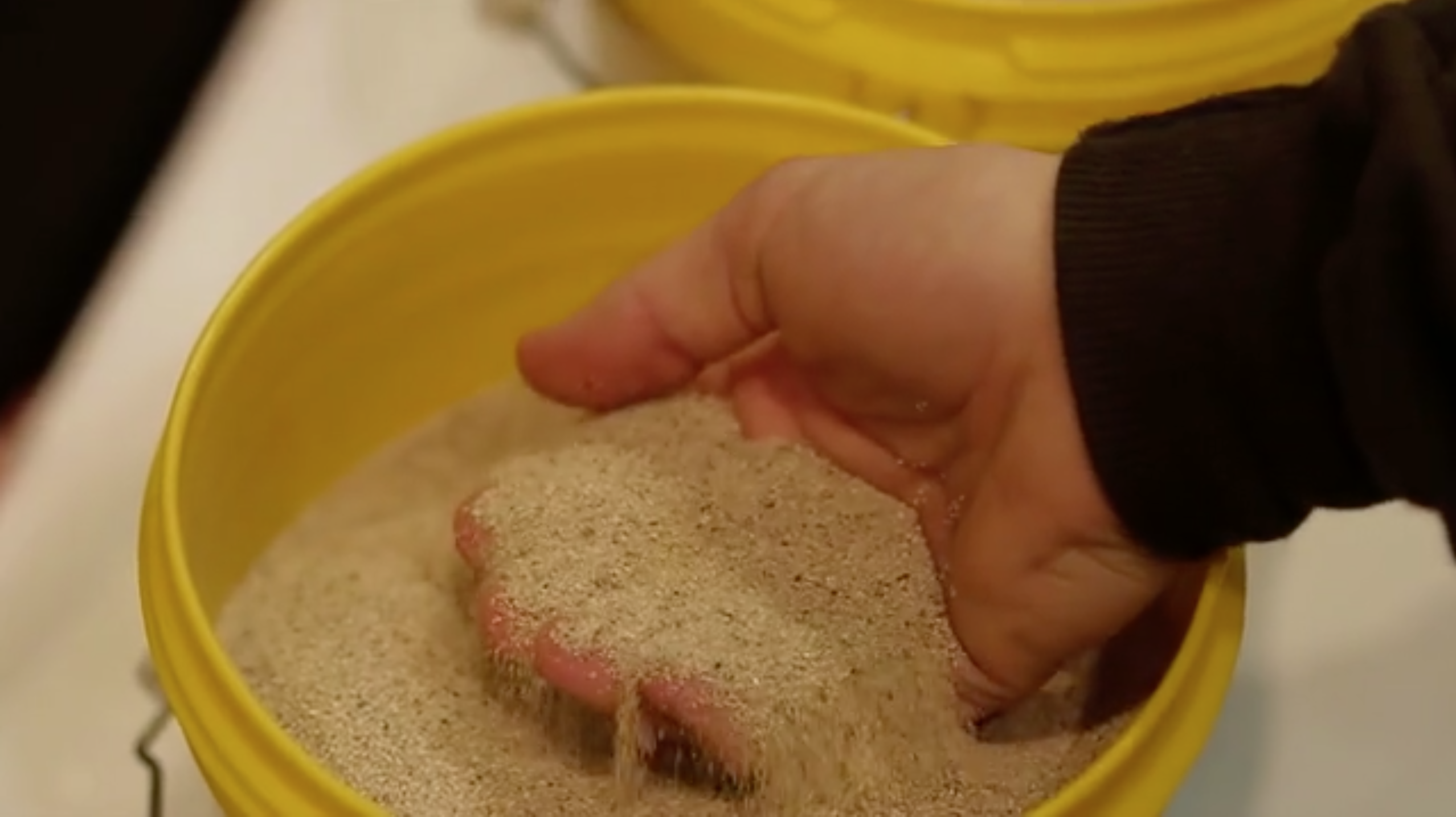 Holliston Sand | Turf Show - Providence, Rhode Island