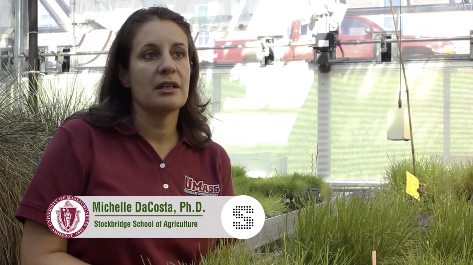 Holliston Sand | UMass Greenhouse Labs
