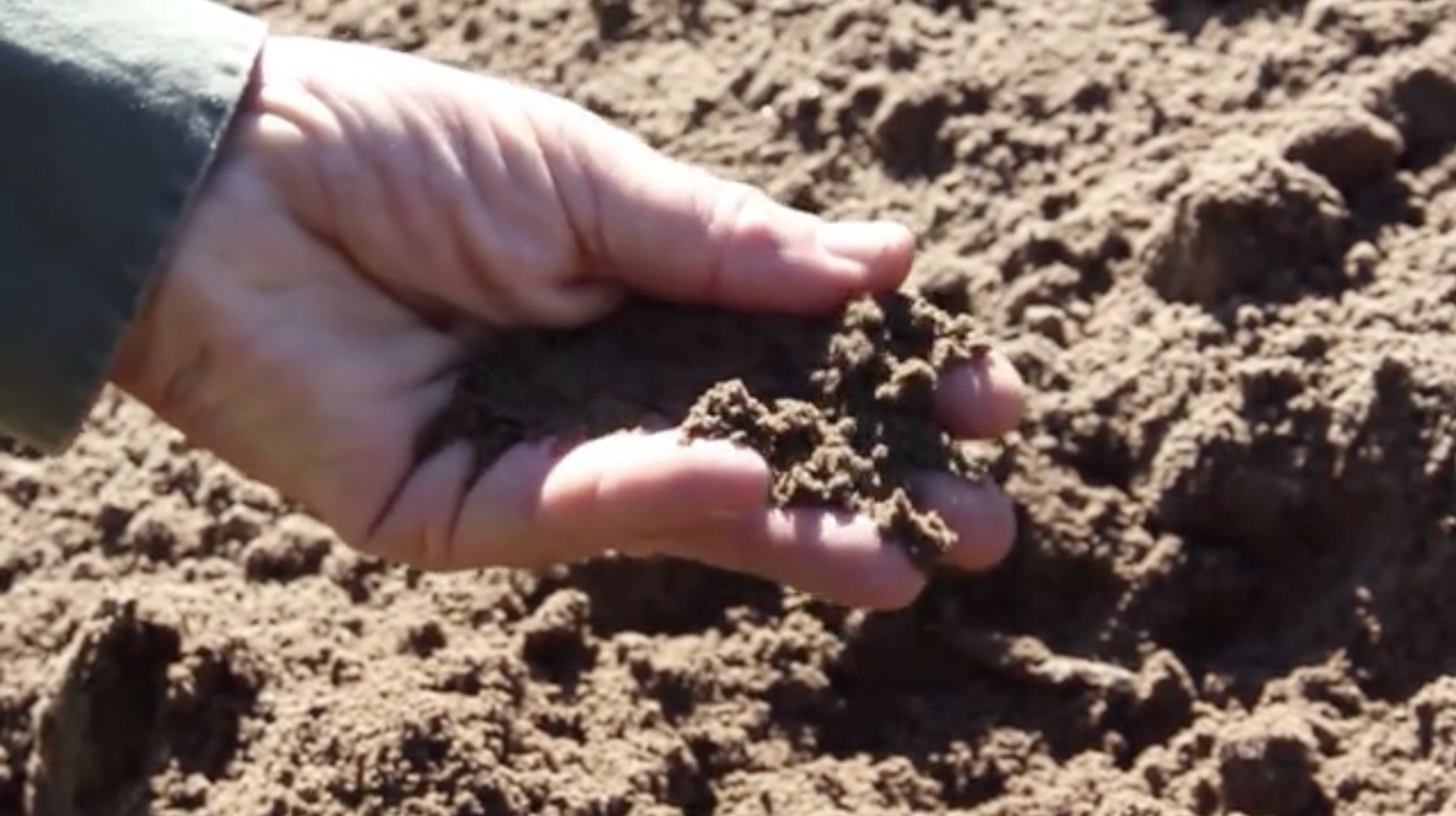 Holliston Sand | UMass Turf Grass Research